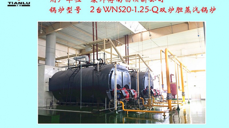 康師傅南唱頂新公司2臺(tái)WNS20-1.25-Q雙爐膽蒸汽鍋爐